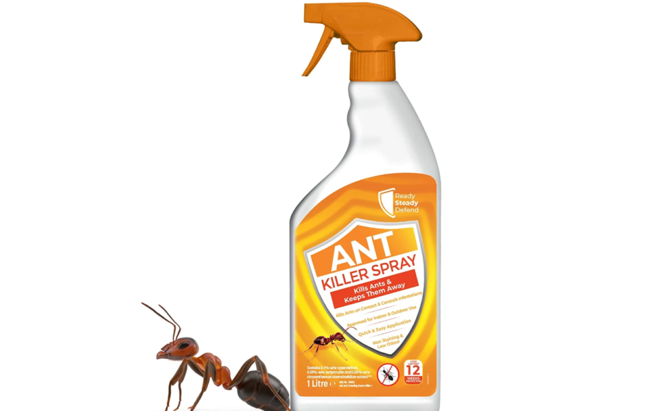 Understanding Ant Sprays for Effective Pest Control